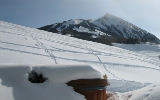 Where is your hot tub cover? Where is your hot tub cover?